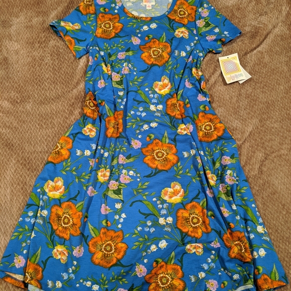 LuLaRoe Dresses & Skirts - 🏵️🌻 Lularoe spring Dress with pockets! ✌️